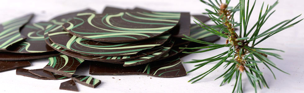 Charlotte Flower Chocolates Scots Pine Thins